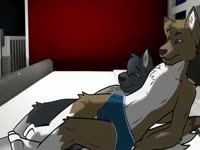 Zoophilia wolf couple fucking and cuddling in their room